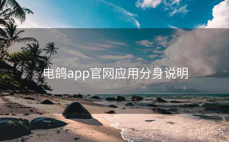 电鸽app官网应用分身说明