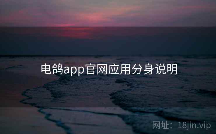 电鸽app官网应用分身说明