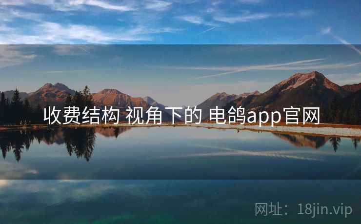 收费结构 视角下的 电鸽app官网