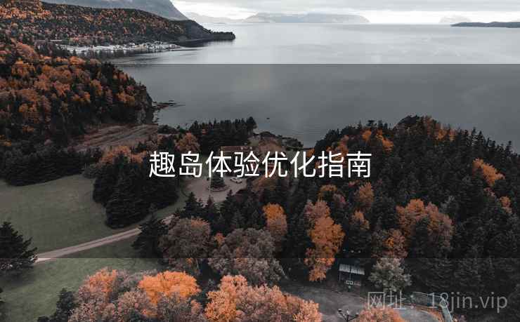 趣岛体验优化指南