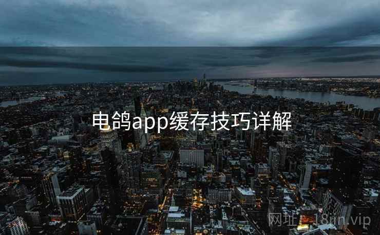 电鸽app缓存技巧详解