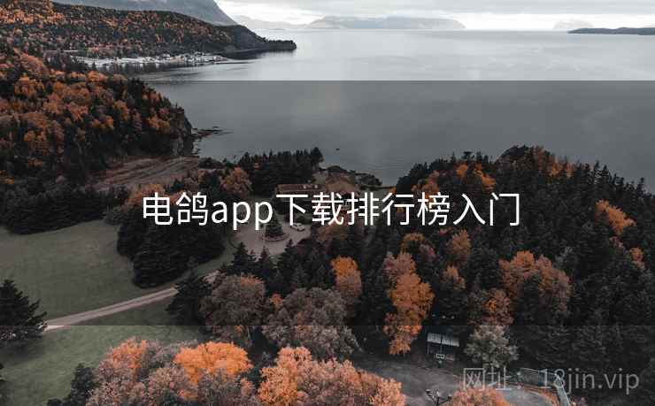 电鸽app下载排行榜入门