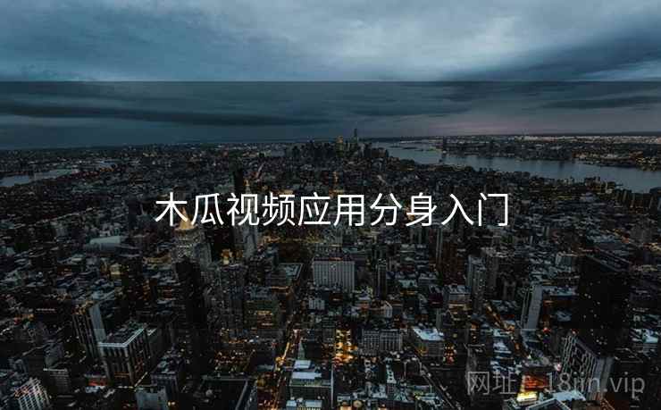 木瓜视频应用分身入门