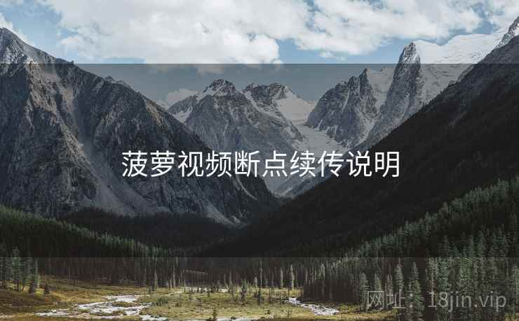 菠萝视频断点续传说明
