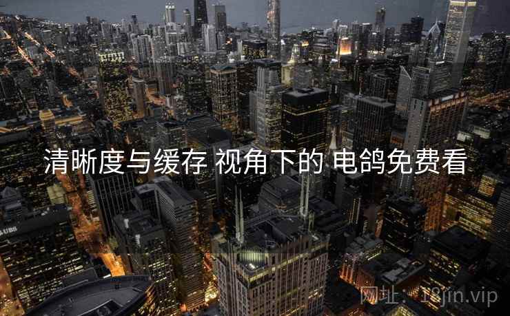 清晰度与缓存 视角下的 电鸽免费看