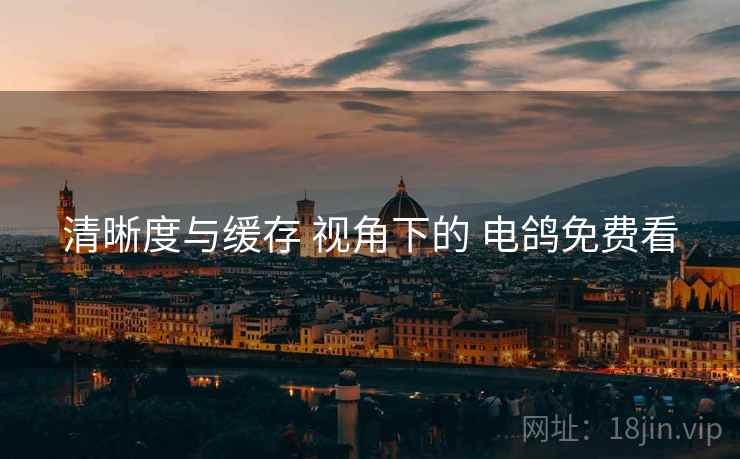 清晰度与缓存 视角下的 电鸽免费看
