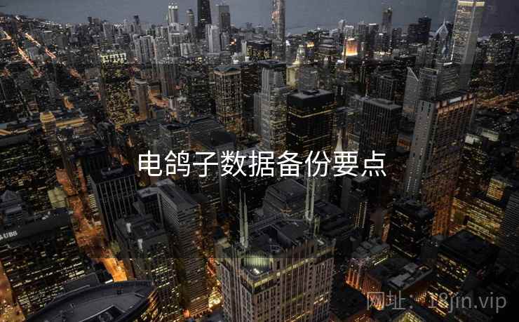 电鸽子数据备份要点