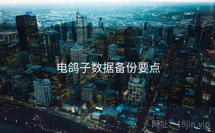 电鸽子数据备份要点