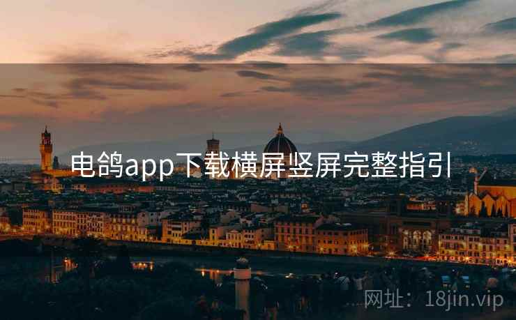 电鸽app下载横屏竖屏完整指引
