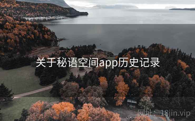 关于秘语空间app历史记录