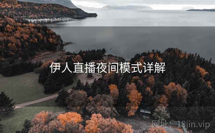 伊人直播夜间模式详解