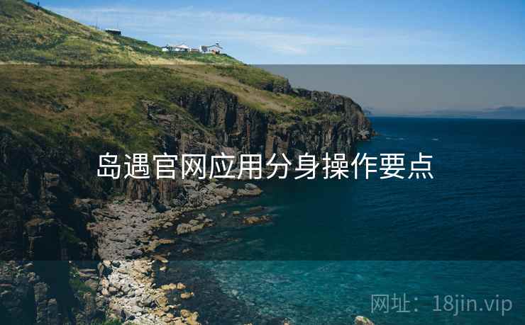 岛遇官网应用分身操作要点