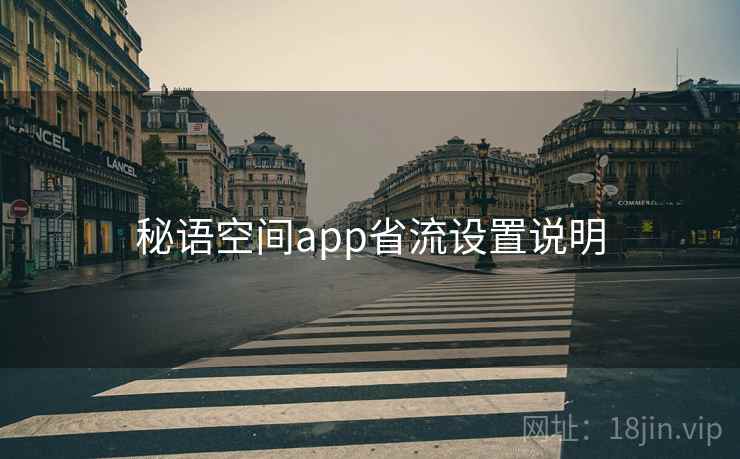秘语空间app省流设置说明