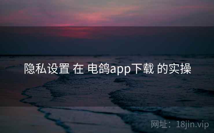 隐私设置 在 电鸽app下载 的实操