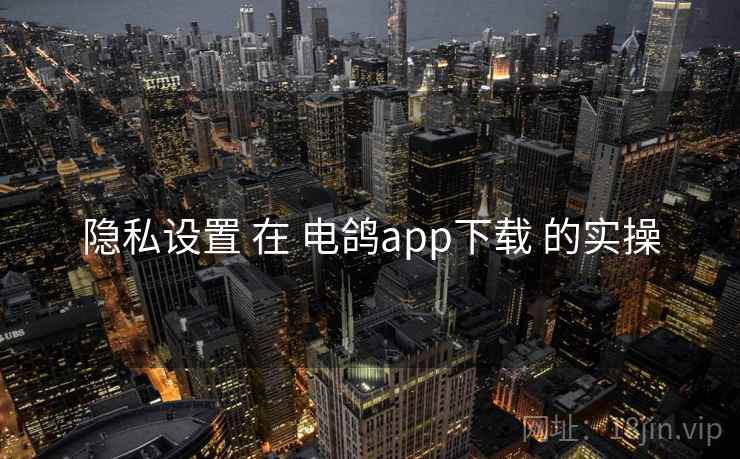 隐私设置 在 电鸽app下载 的实操