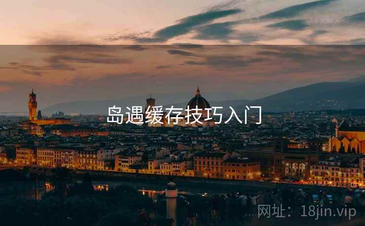 岛遇缓存技巧入门